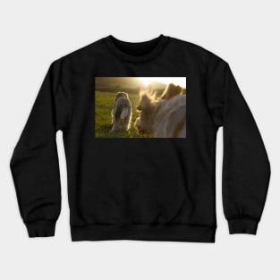 Chasing the sunset Spinoni Crewneck Sweatshirt